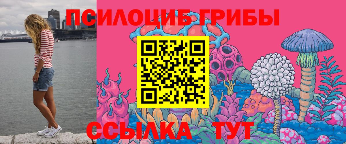 Псилоцибиновые грибы Magic Shrooms Тара