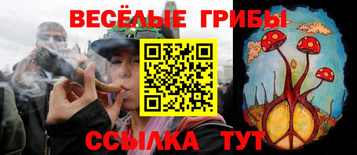 Псилоцибиновые грибы Magic Shrooms  Вход с VPN  Тара 
